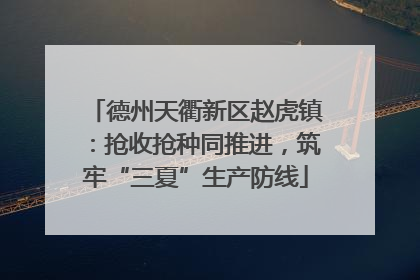 德州天衢新区赵虎镇：抢收抢种同推进，筑牢“三夏”生产防线