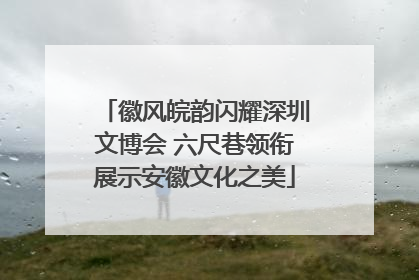 徽风皖韵闪耀深圳文博会 六尺巷领衔展示安徽文化之美