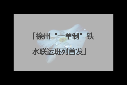 徐州“一单制”铁水联运班列首发