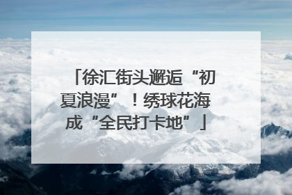 徐汇街头邂逅“初夏浪漫”！绣球花海成“全民打卡地”