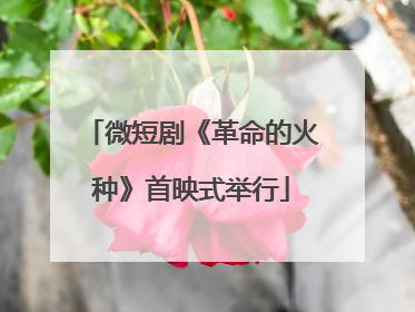 微短剧《革命的火种》首映式举行