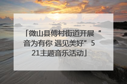 微山县傅村街道开展“音为有你 遇见美好”521主题音乐活动