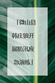 微山县韩庄镇开展防汛应急演练