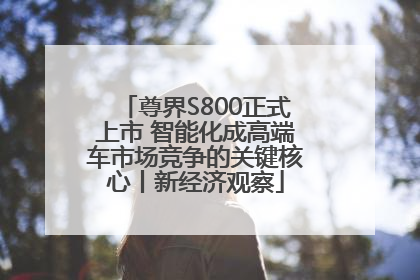 尊界S800正式上市 智能化成高端车市场竞争的关键核心丨新经济观察