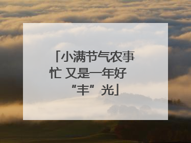 小满节气农事忙 又是一年好“丰”光