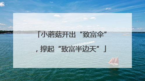小蘑菇开出“致富伞”，撑起“致富半边天”