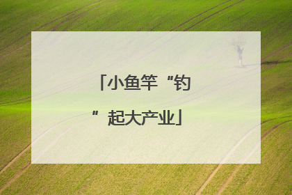 小鱼竿“钓”起大产业