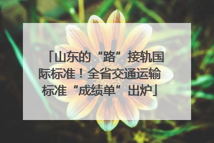 山东的“路”接轨国际标准！全省交通运输标准“成绩单”出炉