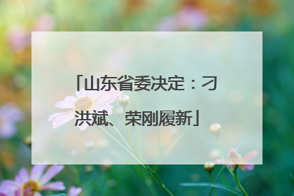 山东省委决定：刁洪斌、荣刚履新