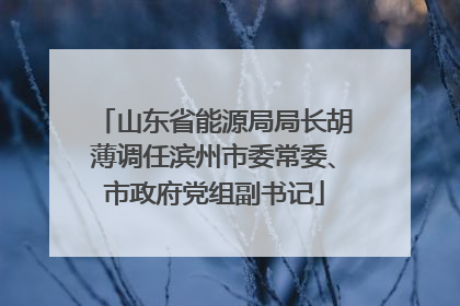 山东省能源局局长胡薄调任滨州市委常委、市政府党组副书记