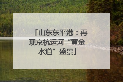 山东东平港：再现京杭运河“黄金水道”盛景