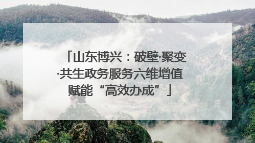 山东博兴：破壁·聚变·共生政务服务六维增值赋能“高效办成”