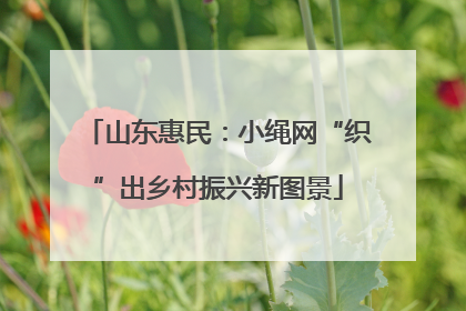 山东惠民：小绳网“织”出乡村振兴新图景
