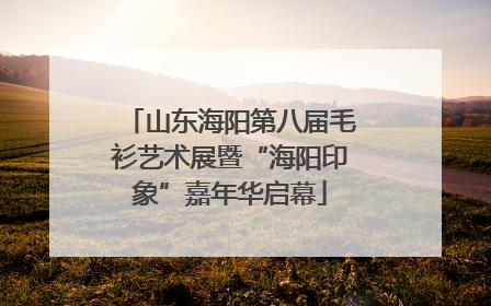 山东海阳第八届毛衫艺术展暨“海阳印象”嘉年华启幕