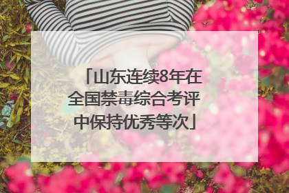 山东连续8年在全国禁毒综合考评中保持优秀等次