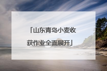 山东青岛小麦收获作业全面展开
