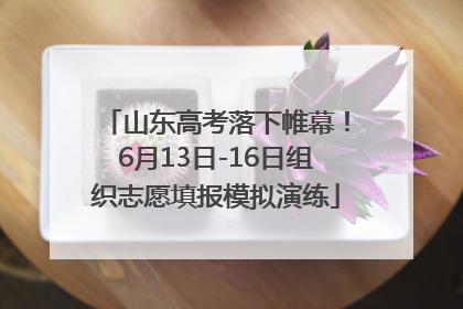 山东高考落下帷幕！6月13日-16日组织志愿填报模拟演练