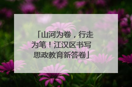 山河为卷，行走为笔！江汉区书写思政教育新答卷