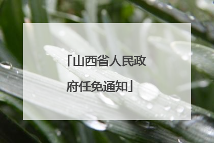 山西省人民政府任免通知