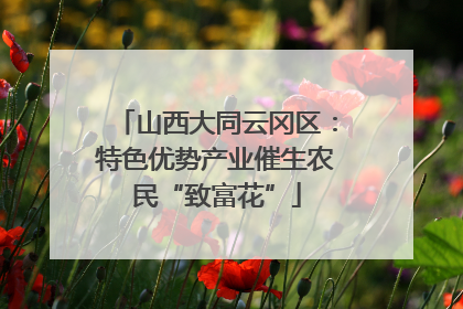 山西大同云冈区：特色优势产业催生农民“致富花”