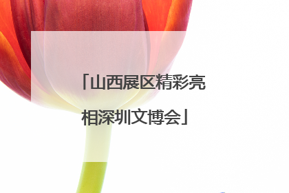 山西展区精彩亮相深圳文博会