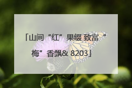 山间“红”果缀 致富“梅”香飘& 8203