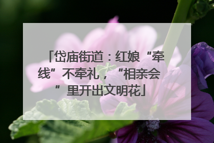 岱庙街道：红娘“牵线”不牵礼，“相亲会”里开出文明花