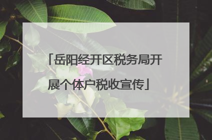 岳阳经开区税务局开展个体户税收宣传