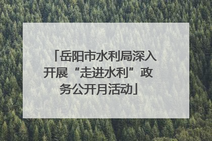 岳阳市水利局深入开展“走进水利”政务公开月活动
