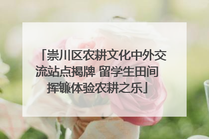 崇川区农耕文化中外交流站点揭牌 留学生田间挥镰体验农耕之乐