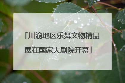 川渝地区乐舞文物精品展在国家大剧院开幕