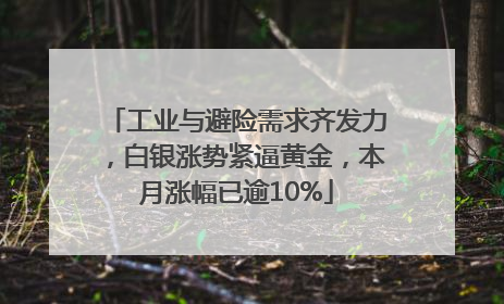 工业与避险需求齐发力，白银涨势紧逼黄金，本月涨幅已逾10%