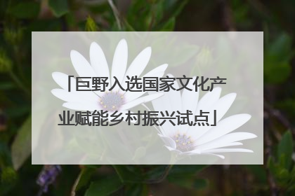 巨野入选国家文化产业赋能乡村振兴试点