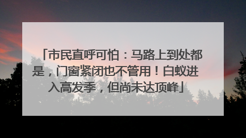市民直呼可怕：马路上到处都是，门窗紧闭也不管用！白蚁进入高发季，但尚未达顶峰