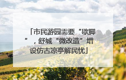 市民游园需要“歇脚”，舒城“微改造”增设仿古凉亭解民忧