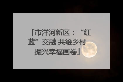 市洋河新区：“红蓝”交融 共绘乡村振兴幸福画卷
