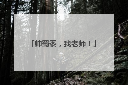 帅蜀黍，我老师！