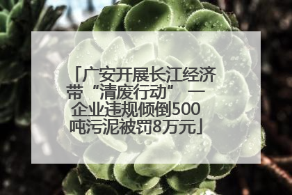 广安开展长江经济带“清废行动” 一企业违规倾倒500吨污泥被罚8万元