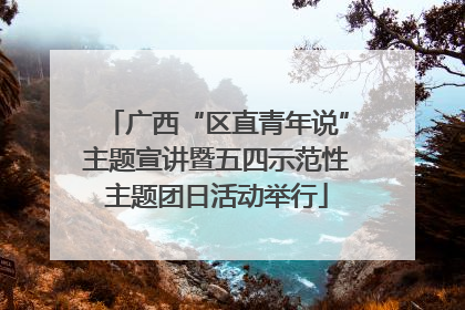 广西“区直青年说”主题宣讲暨五四示范性主题团日活动举行