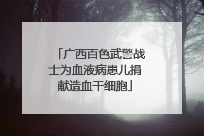 广西百色武警战士为血液病患儿捐献造血干细胞