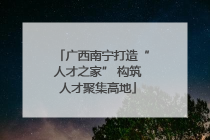 广西南宁打造“人才之家” 构筑人才聚集高地