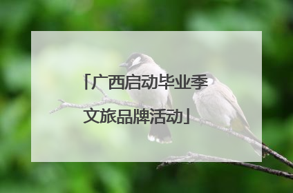 广西启动毕业季文旅品牌活动