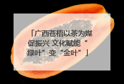 广西苍梧以茶为媒促振兴 文化赋能“绿叶”变“金叶”