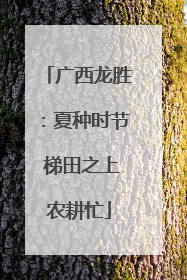 广西龙胜：夏种时节 梯田之上农耕忙