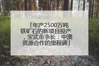 年产2500万吨铁矿石的新项目投产，宝武董事长：中澳资源合作的里程碑