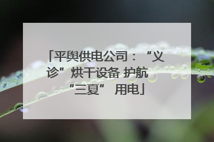 平舆供电公司：“义诊”烘干设备 护航 “三夏” 用电