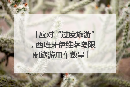 应对“过度旅游”，西班牙伊维萨岛限制旅游用车数量