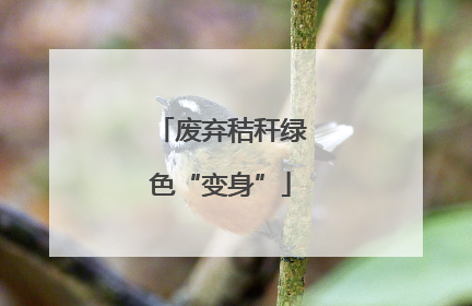 废弃秸秆绿色“变身”