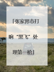 张家界市打响“黑飞”处理第一枪
