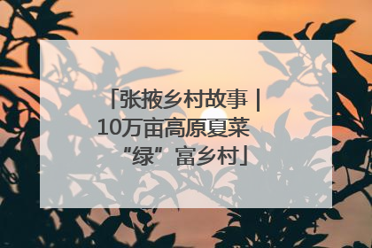 张掖乡村故事｜10万亩高原夏菜“绿”富乡村